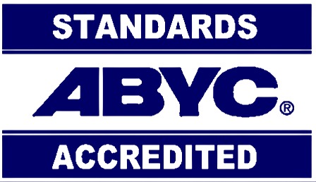 ABYC American Boat and Yacht Council